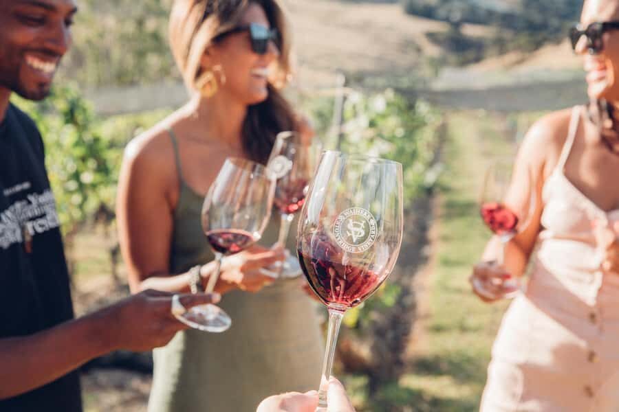 Waiheke Island: Scenic Island Wine Tour & Local Wine Tasting - Matiatia Bay meetup: the point where your tour starts (and your ferry timing matters)