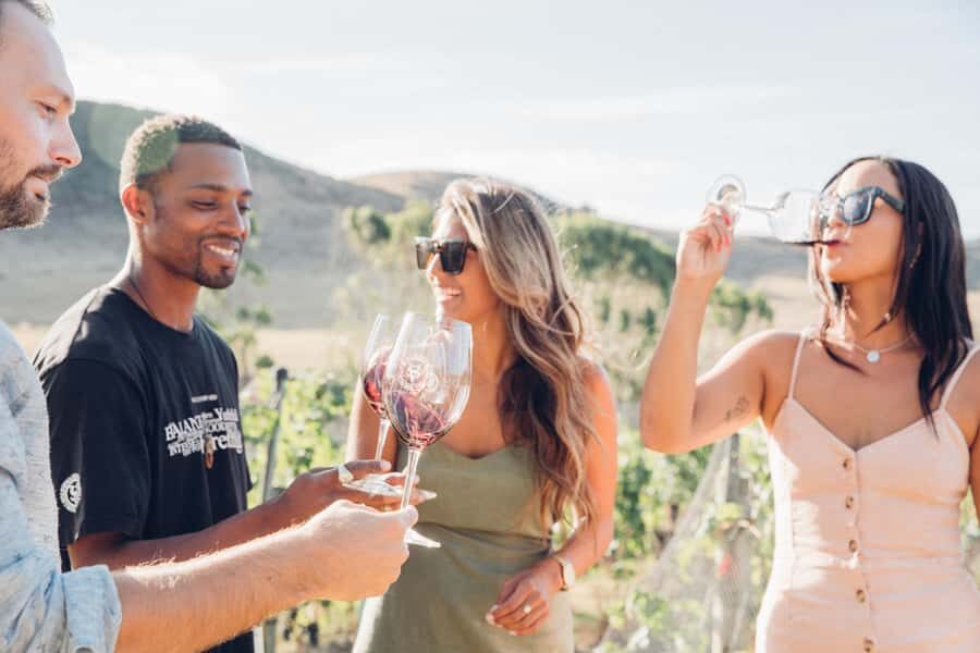 Waiheke Island: Wine Tour & Lunch at Award Winning Venue - Getting from Auckland to Onetangi without turning it into a project
