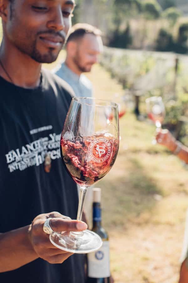 Waiheke Island: Wine Tour & Lunch at Award Winning Venue - After lunch: stretching the day (or just enjoying the pause)