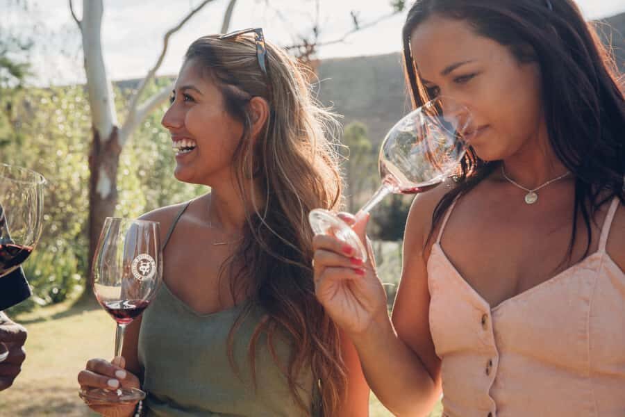 Waiheke Island: Wine Tour & Lunch at Award Winning Venue - Who this tour fits best