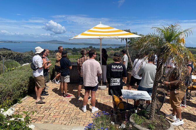 Waiheke Island Wine Tour with Scenic Vineyards & Tastings - The tastings and guides: why the ride matters