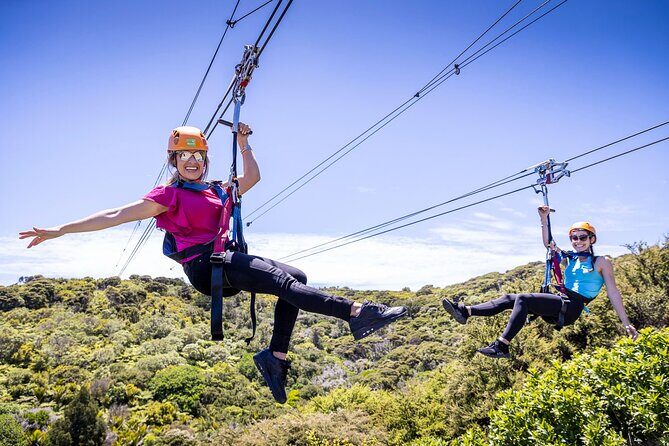 Waiheke Island: Zipline And Forest Walk - Key points before you book