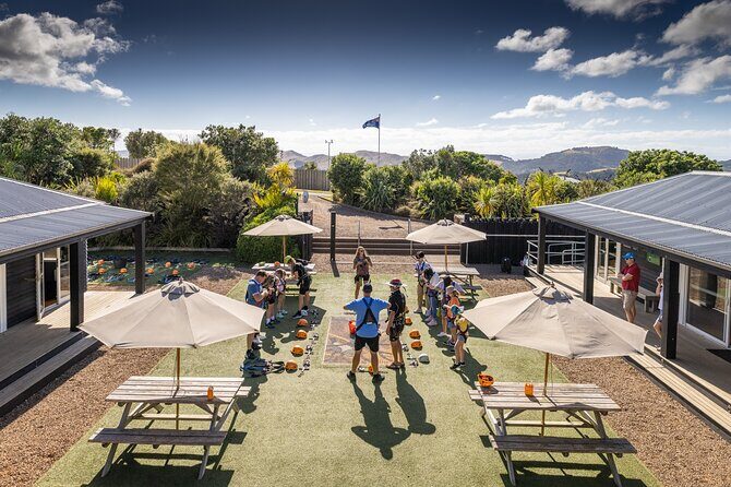 Waiheke Island: Zipline And Forest Walk - Getting From Auckland: Ferry Timing and the Trig Hill Start