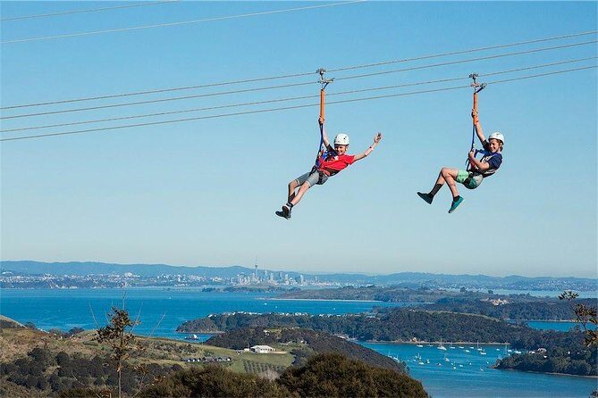Waiheke Island: Zipline And Forest Walk - The Walk Back Through Native Forest: Hills, Timing, and Why It Matters