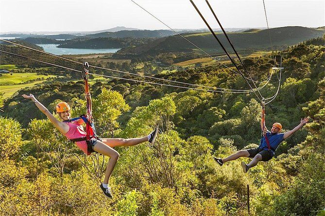 Waiheke Island: Zipline And Forest Walk - Safety, Weight Limits, and Weather: The Stuff You Should Actually Care About