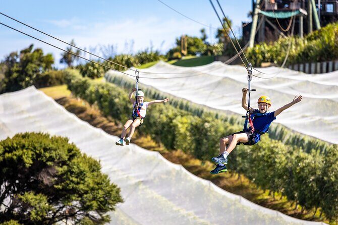Waiheke Island: Zipline And Forest Walk - Price and Value: What Your $92.47 Includes, and What Costs Extra