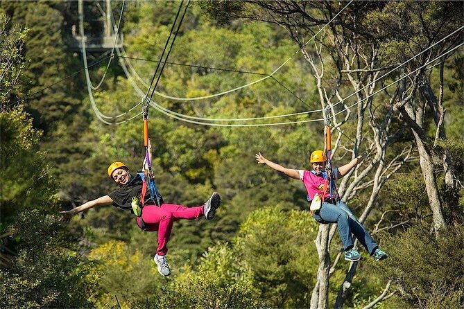 Waiheke Island: Zipline And Forest Walk - Who Should Do This Zipline and Forest Walk on Waiheke