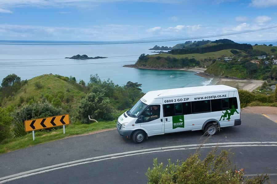 Waiheke Island: Zipline and Native Forest Adventure Trip - What the side-by-side ride feels like (and what it doesn’t)