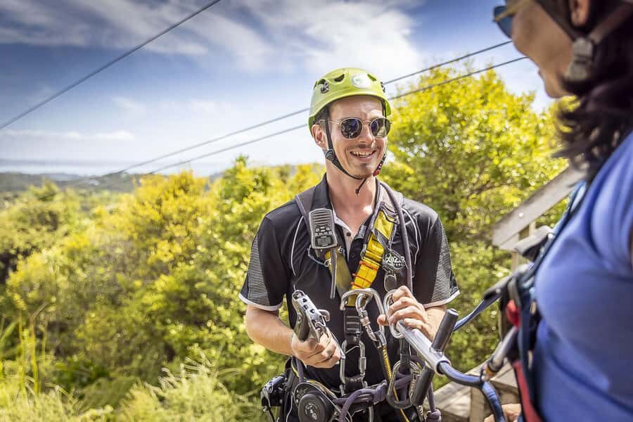 Waiheke Island: Zipline and Native Forest Adventure Trip - The return walk: native forest stories, plus Maori and European history