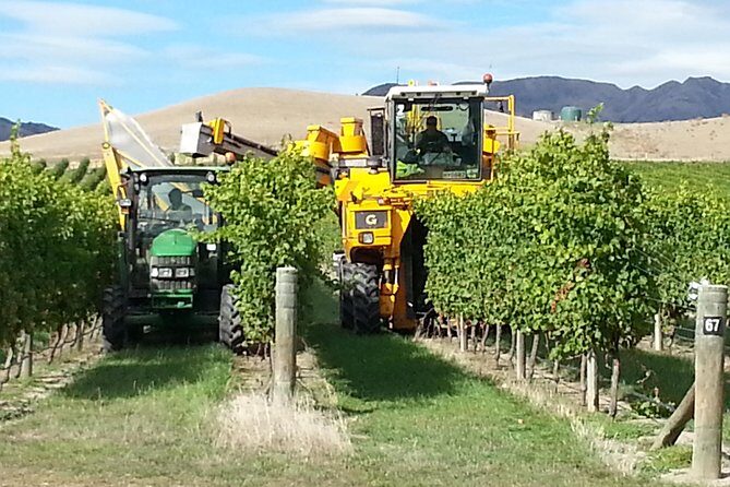 Waipara Wine Tour from Christchurch - including Lunch & Tastings - Guides and group size: why the host matters as much as the wine
