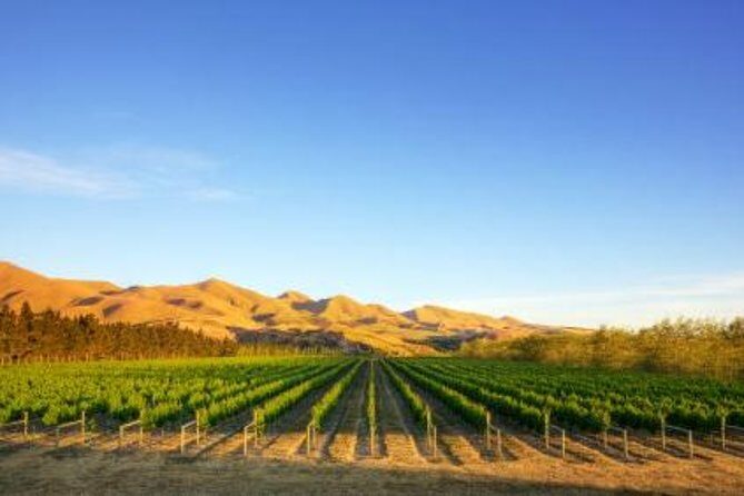 Waipara Wine Tour from Christchurch - including Lunch & Tastings - The day starts with lunch and a calmer start than you expect