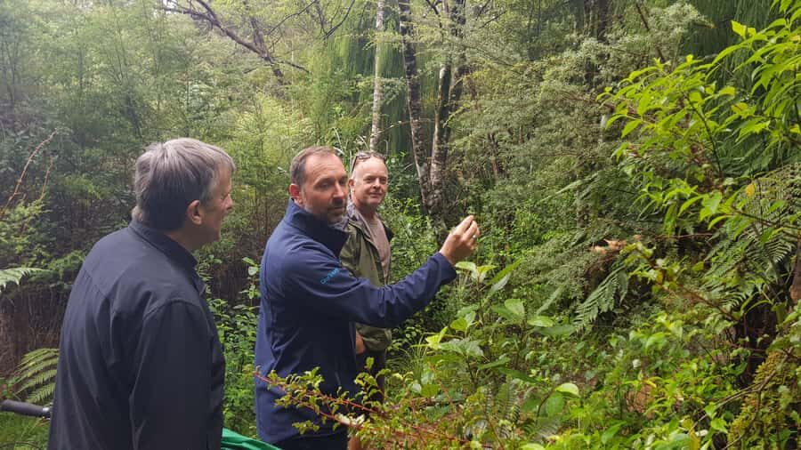 Waitakere Ranges Wilderness Experience Tour from Auckland - Key highlights that matter on the ground
