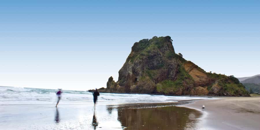Waitakere Ranges Wilderness Experience Tour from Auckland - Waitakere Ranges viewpoints and Maori carvings up top