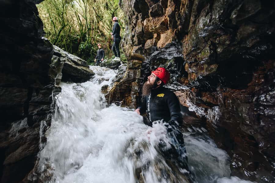 Waitomo Caves Black Abyss Ultimate Caving Experience - The glowworm flying-fox zipline: night sky, cave ceiling