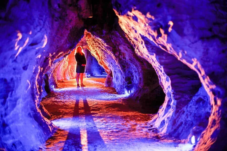 Waitomo Caves: Ruakuri Glowworm Cave Guided Walking Tour - Ruakuri Glowworm Tour Quick Hits