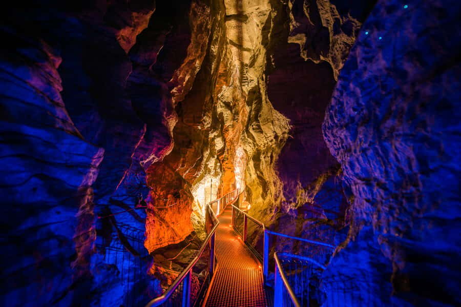 Waitomo Caves: Ruakuri Glowworm Cave Guided Walking Tour - What to Bring, What Not to Bring, and When to Arrive