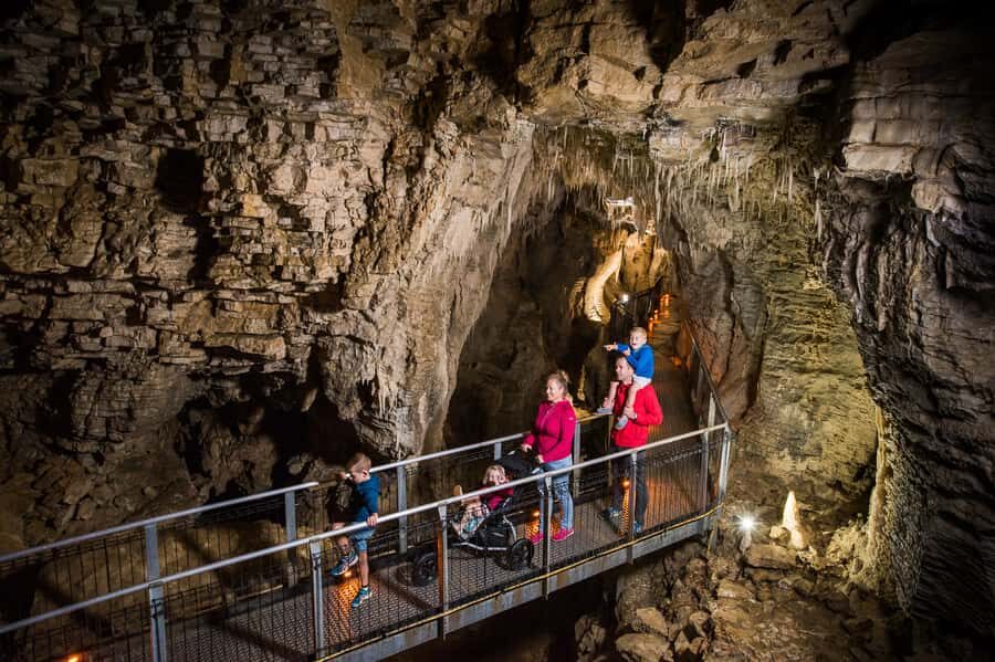 Waitomo Caves: Ruakuri Glowworm Cave Guided Walking Tour - Listening for Water, Rivers, and Details You’d Miss Without a Guide