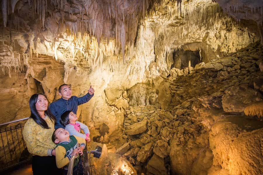 Waitomo Caves: Ruakuri Glowworm Cave Guided Walking Tour - Price and Value: Is $69 for Ruakuri Worth It?