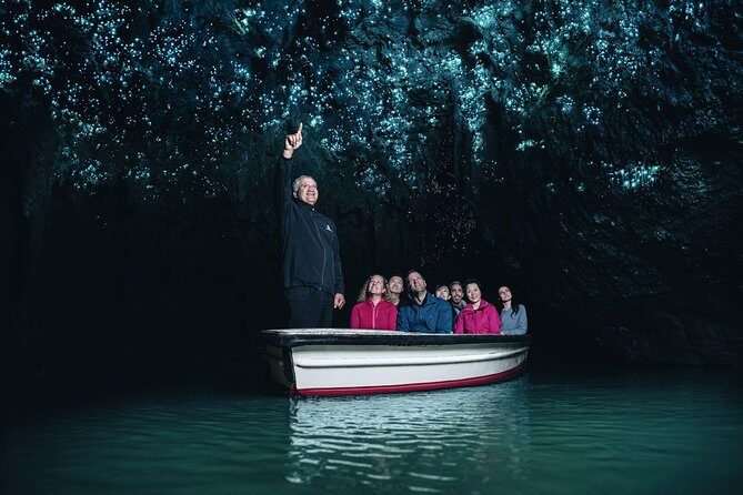 Waitomo Glowworm Caves Guided Tour - Waitomo’s Underworld Light Show: What Makes the Glowworms Special