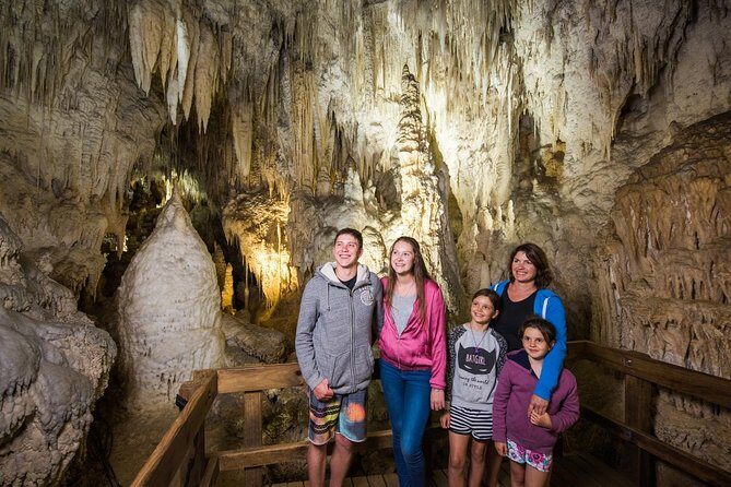 Waitomo Glowworm Caves Guided Tour - Where This Tour Fits on Your Waitomo Day