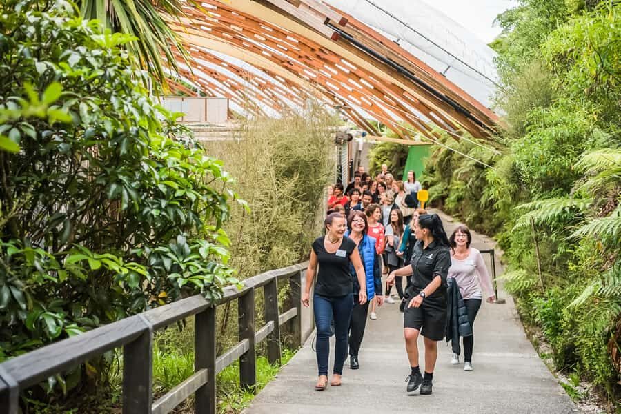 Waitomo: Glowworm Caves Guided Tour by Boat - Price and Value: Is This $48 Tour Worth It?