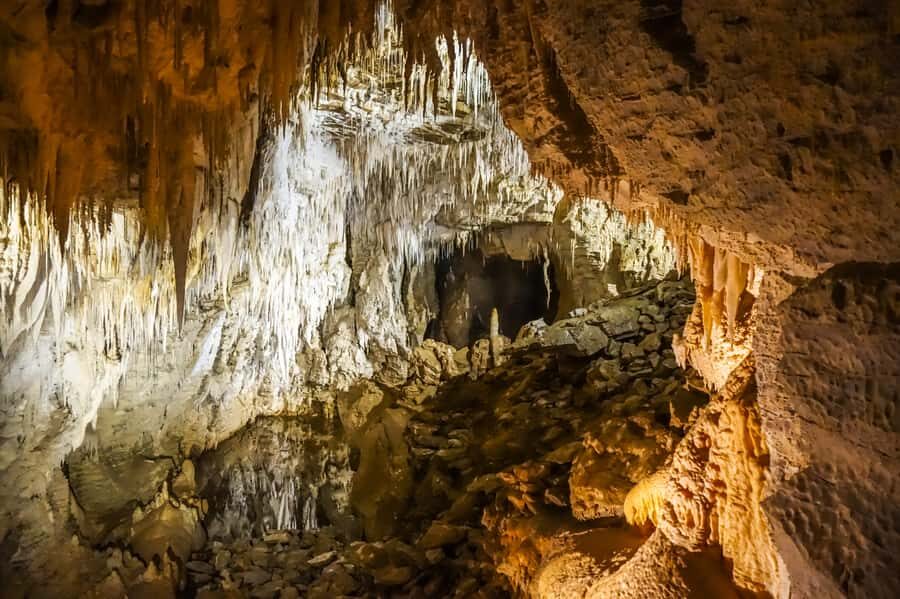 Waitomo: Glowworm Caves Guided Tour by Boat - What to Bring (So You’re Comfortable Under Ground)