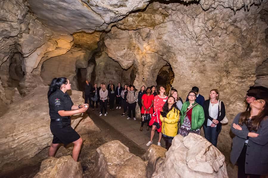 Waitomo: Glowworm Caves Guided Tour by Boat - Your Walk Through the Upper Level: Catacombs, Pipe Organ, and Banquet Chamber