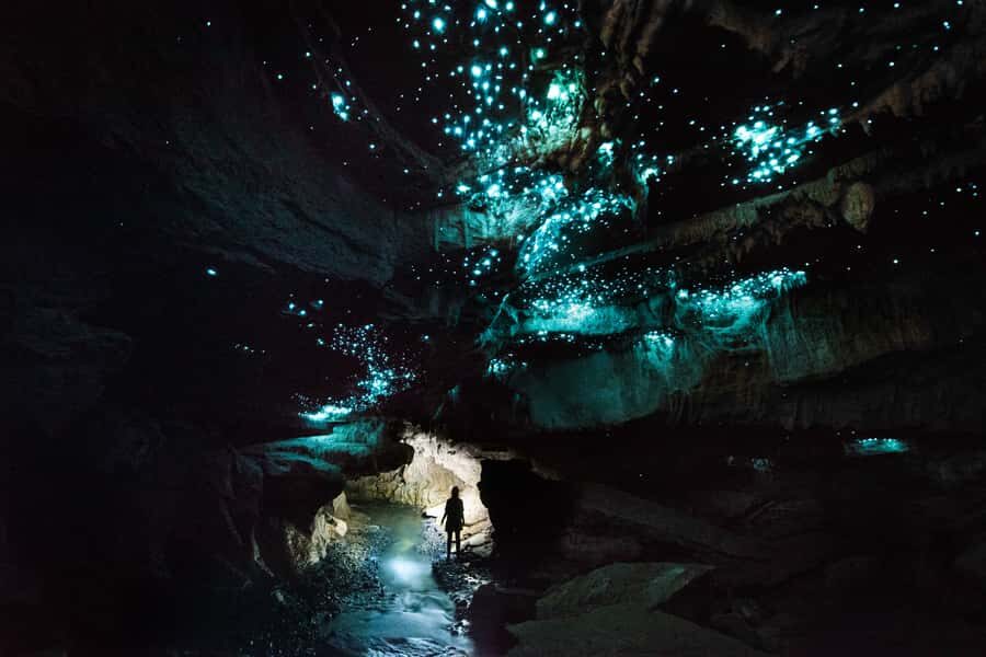 Waitomo: Guided Eco-Cave Tour - Private-Farm Waitomo: Why This Tour Feels Like the Real Thing