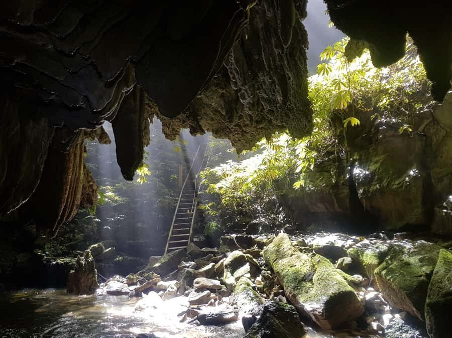 Waitomo: Guided Eco-Cave Tour - Real Caving, Not a Show Cave: What the Terrain Feels Like