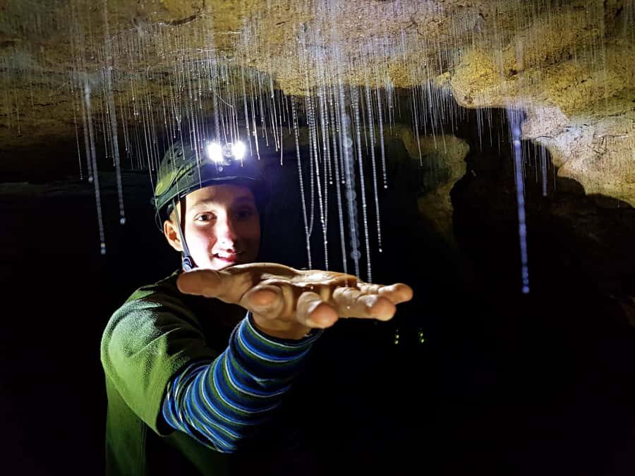 Waitomo: Guided Eco-Cave Tour - Glowworms Up Close: How the Darkness and Timing Make a Difference