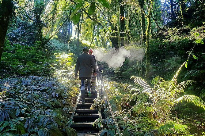 Waitomo’s Hidden Gem: Small-Group Off the Beaten Track Tour - Key highlights worth planning for