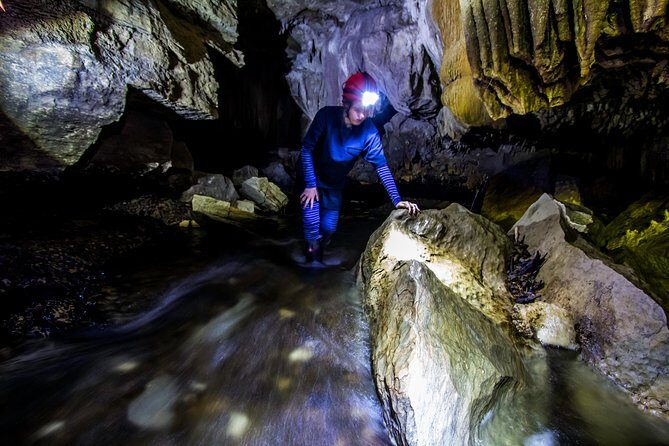 Waitomo’s Hidden Gem: Small-Group Off the Beaten Track Tour - Fitness reality check: who this is best for (and who should skip)