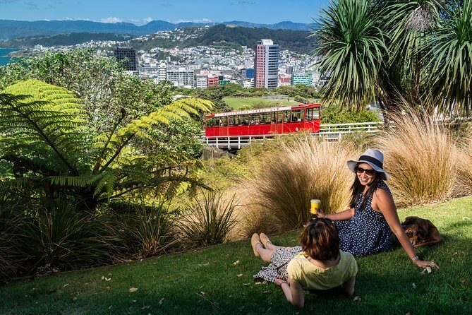 Wellington Cave to Coast Highlights Tour (5 Hours with Lunch) - A smart 5-hour plan for first-time Wellingtoners