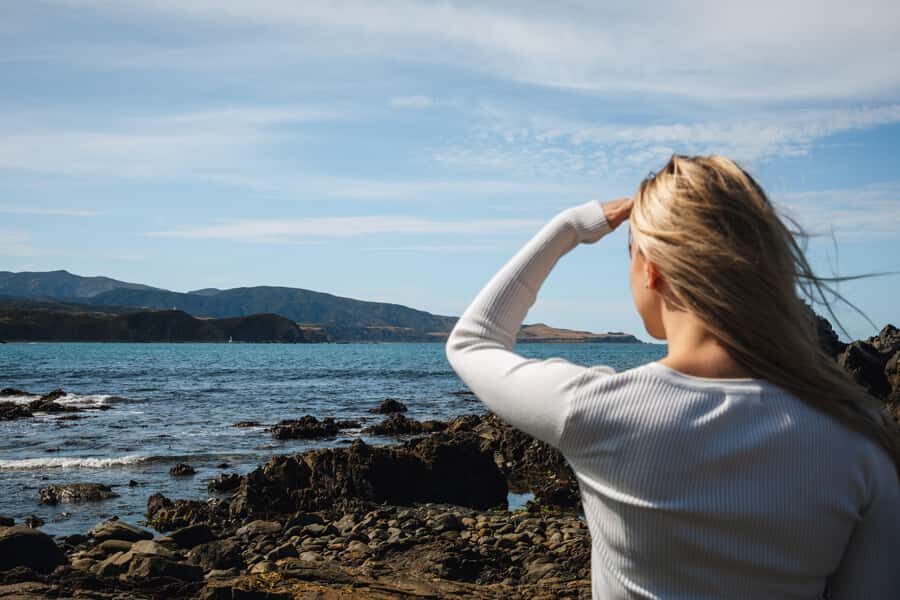 Wellington: Guided City Tour with Cable Car Ticket - Getting Your Wellington Bearings Fast (Without Feeling Rushed)