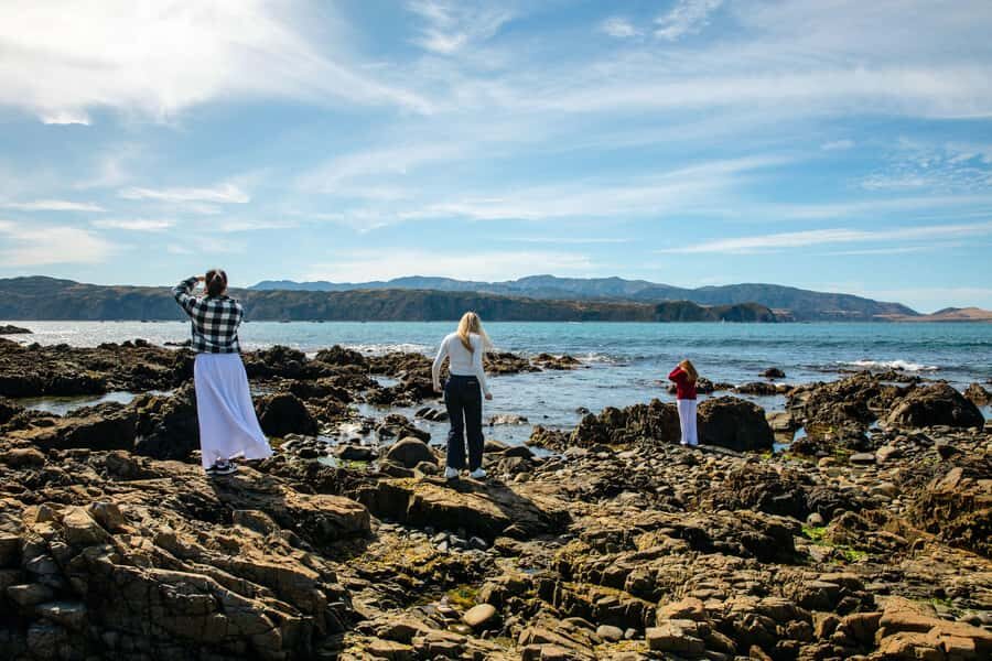 Wellington: Guided City Tour with Cable Car Ticket - Miramar and Conservation Stories Add Real Meaning to the Views