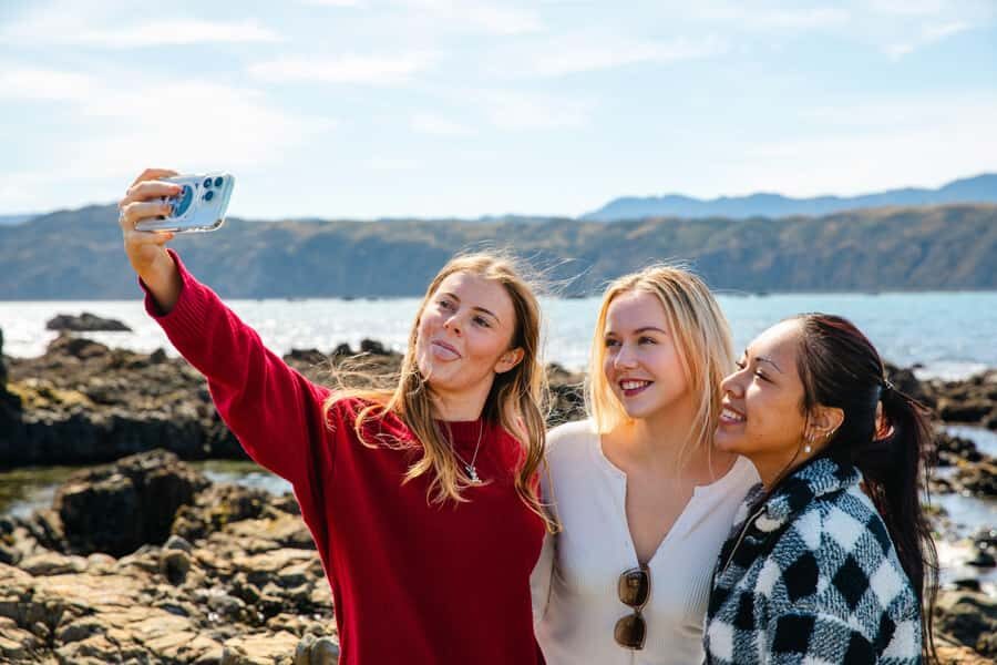 Wellington: Guided City Tour with Cable Car Ticket - Mt Victoria Lookout: The City and Harbor View You’ll Remember