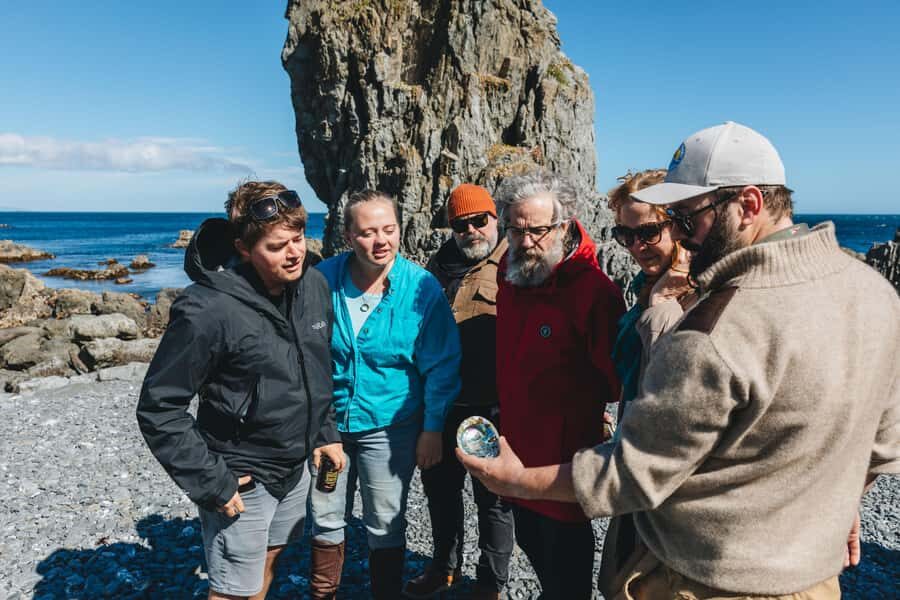 Wellington: Half Day Seal Coast Safari - Project West Wind Ridgeline Road: How Wellington Powers Rural Work