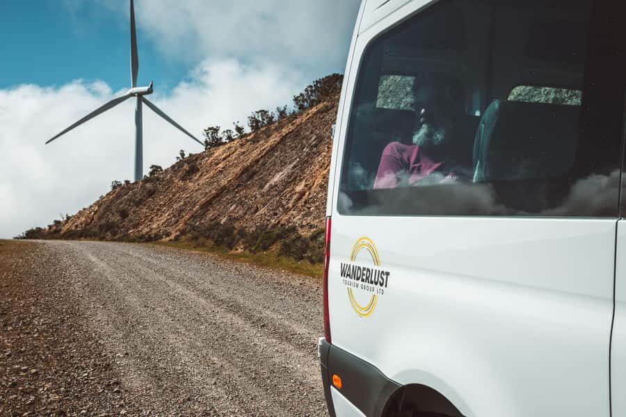 Wellington: Half Day Seal Coast Safari - Who This Tour Fits Best (and Who Might Hesitate)