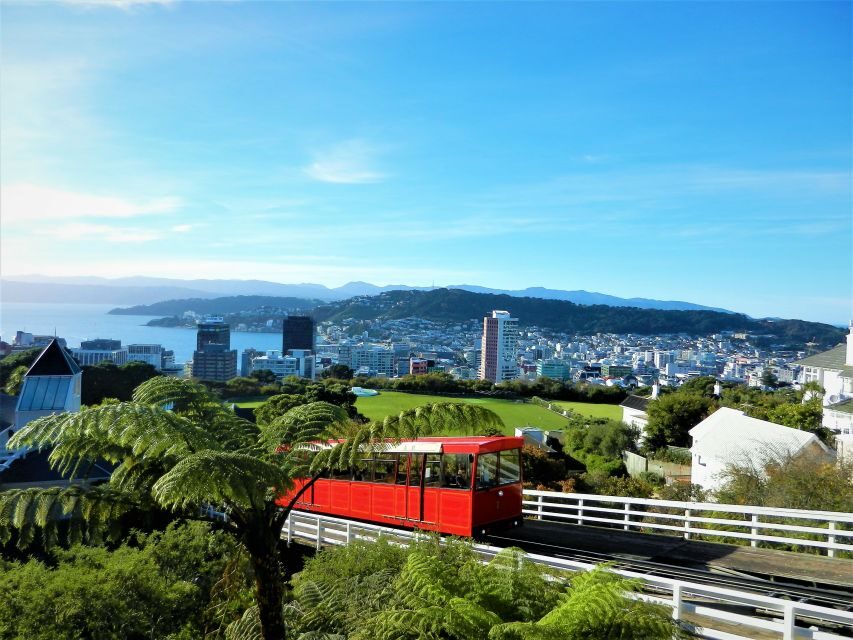 Wellington: Return Cable Car Ticket - The easy return option when your legs need a break