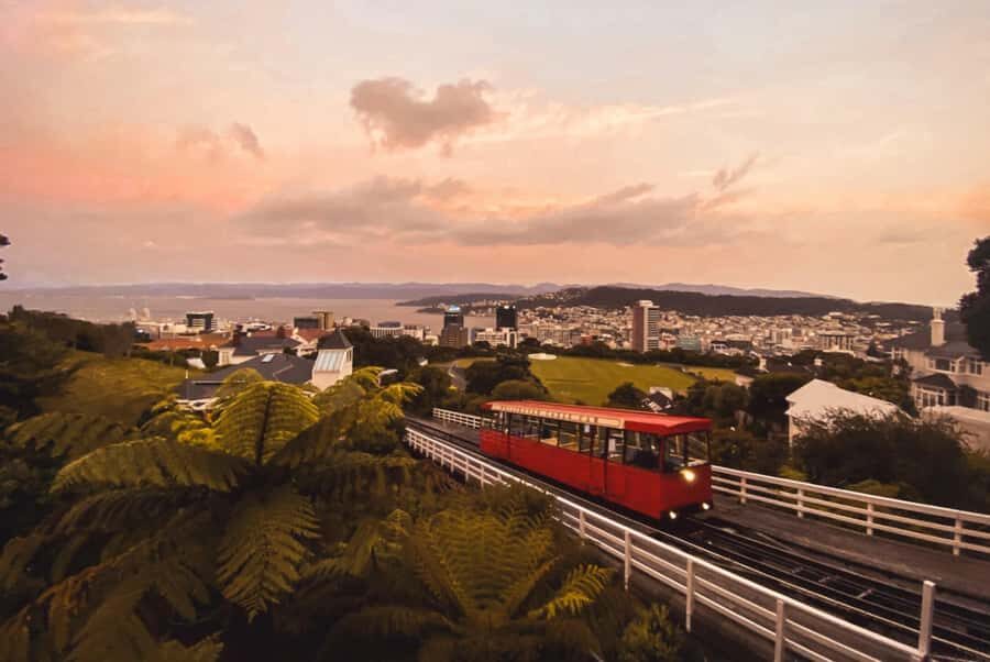 Wellington: Return Cable Car Ticket - Price and logistics: good value, just don’t underestimate the line