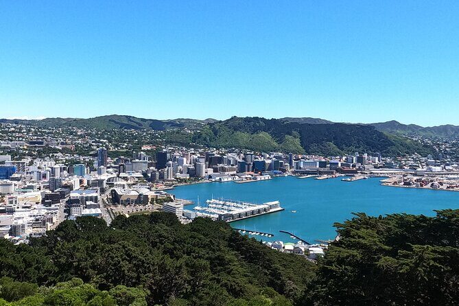 Wellington's Original HD LOTR Experience - includes Weta Tour - Mt Victoria Lookout: the view stop that actually helps