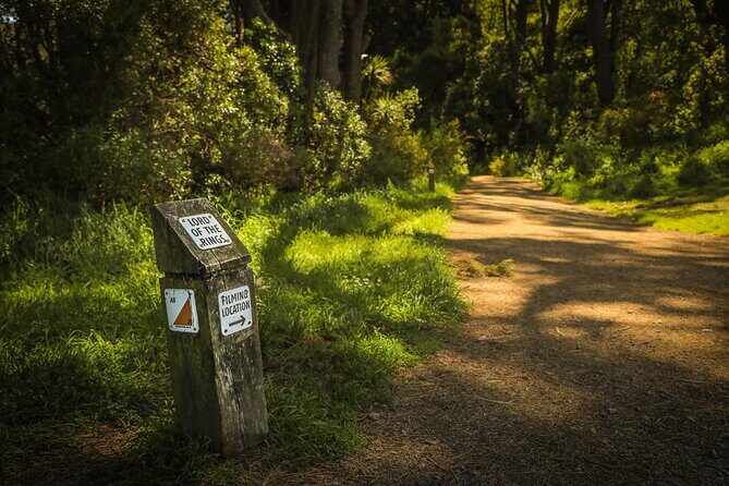 Wellington's Original HD LOTR Experience - includes Weta Tour - Outer Shire forest edge: filming talk without leaving Wellington
