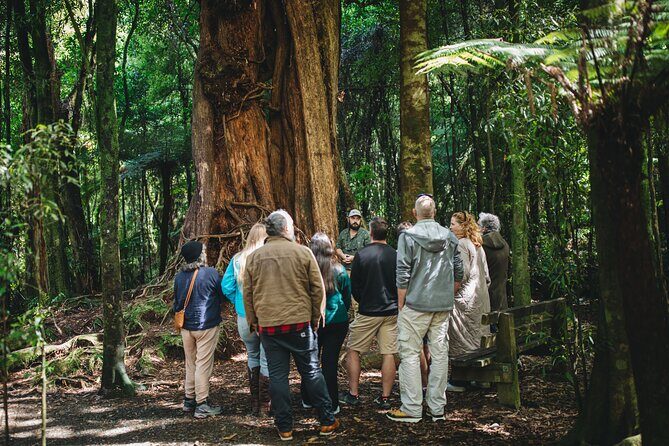 Wellington's Original LOTR Experience - includes Weta and Lunch - Middle-earth in Wellington, without the scavenger hunt
