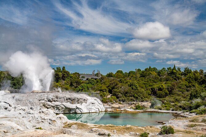 Whakarewarewa Village Guided Tour - Why Whakarewarewa feels different from the usual Rotorua tour