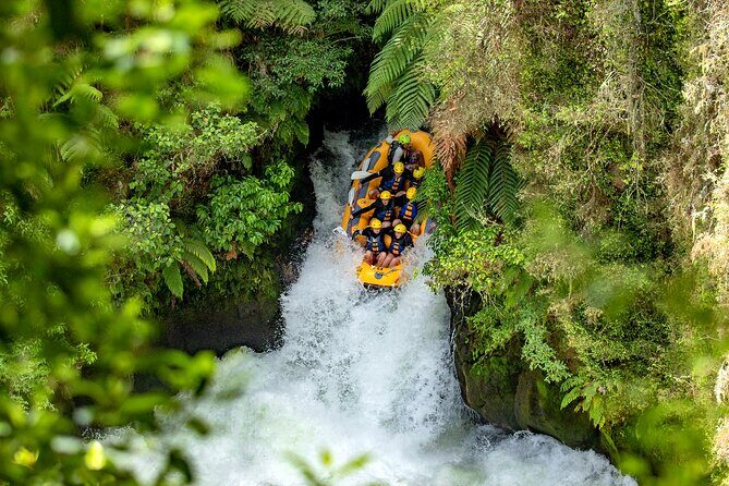 Whakarewarewa Village Guided Tour - Geothermal viewing: boiling mud, hot-spring pools, and Pohutu Geyser