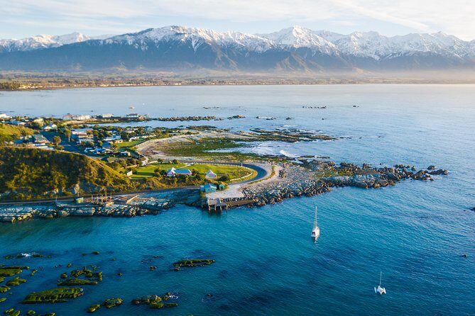 Whale Watching in Kaikoura by Boat - Your “No Whale” Backup Plan: 95% Success and the 80% Refund