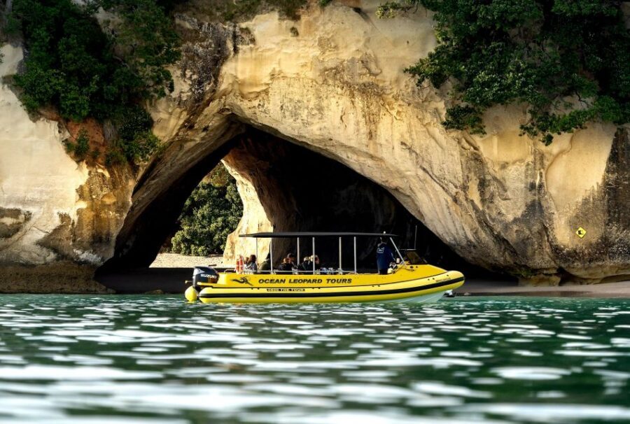 Whitianga: 2-Hour Cathedral Cove and Volcanic Coast Cruise - Islands and nearby beaches: Hahei and Lonely Bay from the water