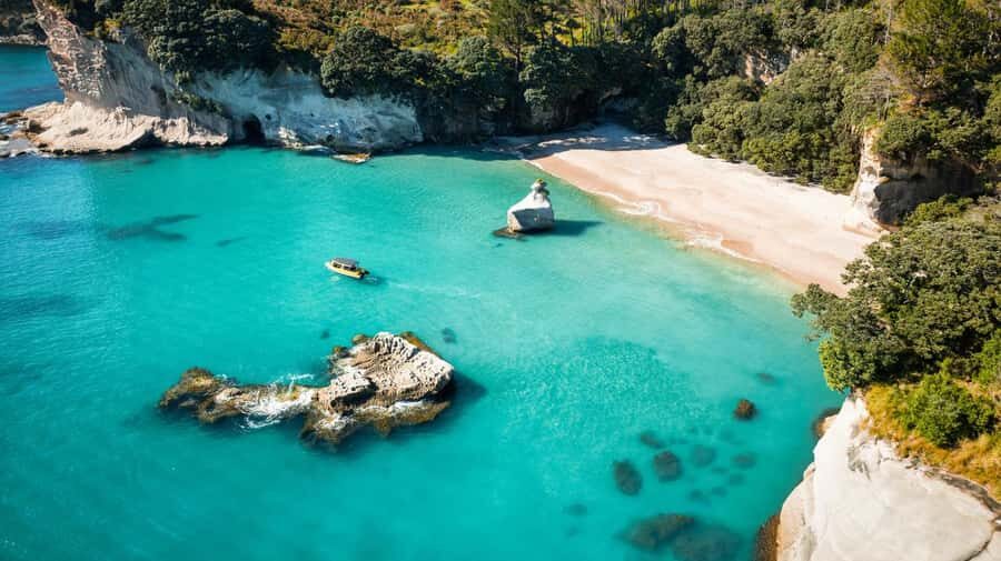 Whitianga: 2-Hour Cathedral Cove and Volcanic Coast Cruise - Wildlife spotting in Mercury Bay: dolphins, whales, and more