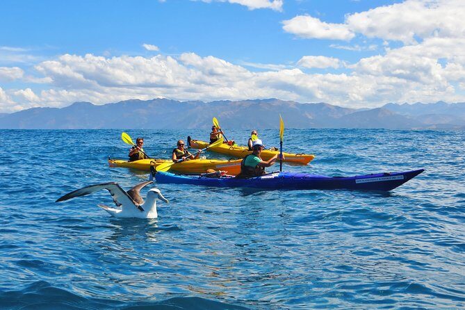 Wildlife Sea Kayaking Tour - Kaikoura - Quick Take: Key Things That Matter