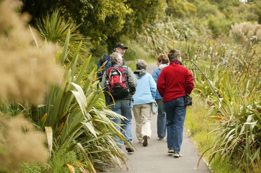 Zealandia by Day Tour - Key things I’d plan around